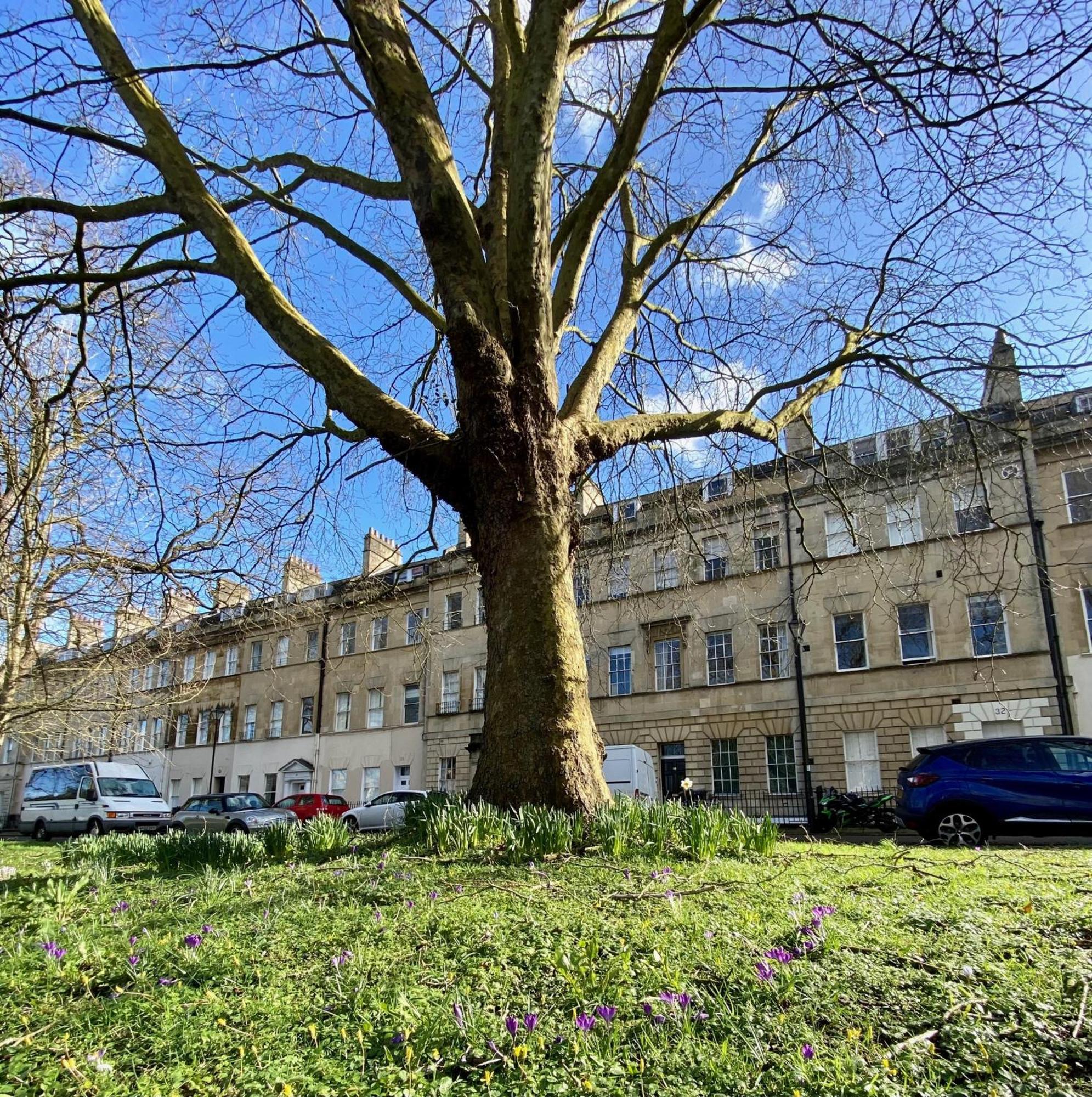 Grosvenor Apartments In Bath - Great For Families, Groups, Couples, 80 Sq M, Parking Buitenkant foto